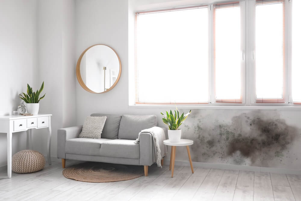 ACEH - AGENCE - SPECIALISTE HUMIDITE