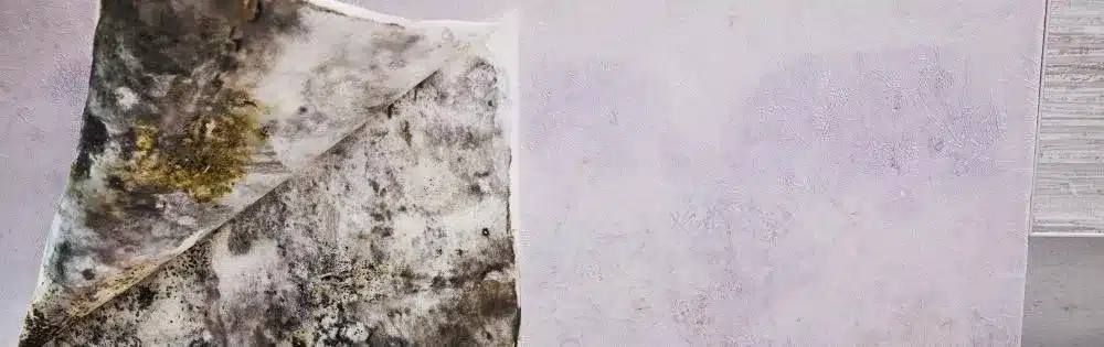 Comment sauver un mur humide ?